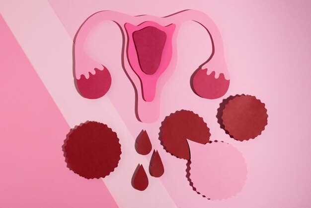 Физиология кровоснабжения матки и придатков: основные аспекты