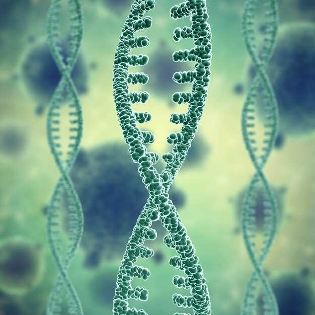 Роль хромосом в клетках